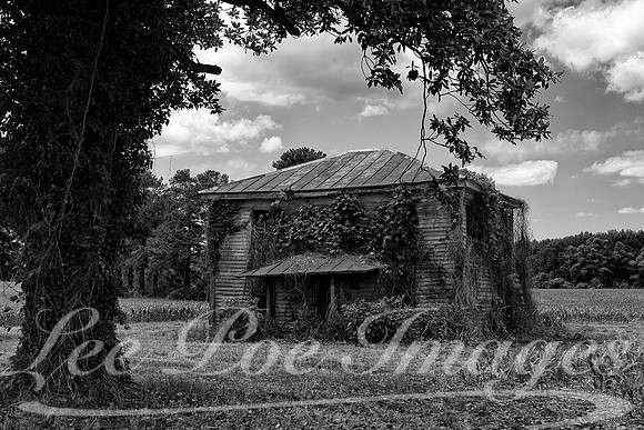 Surry Virginia