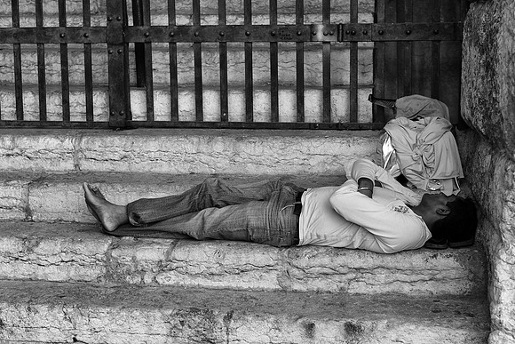 A Little Nap