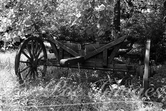 Old Wagon Forgotten